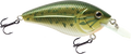 Primetyme CB 1.5
