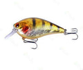 Square Bill (0-5 ft) - Gold  Black