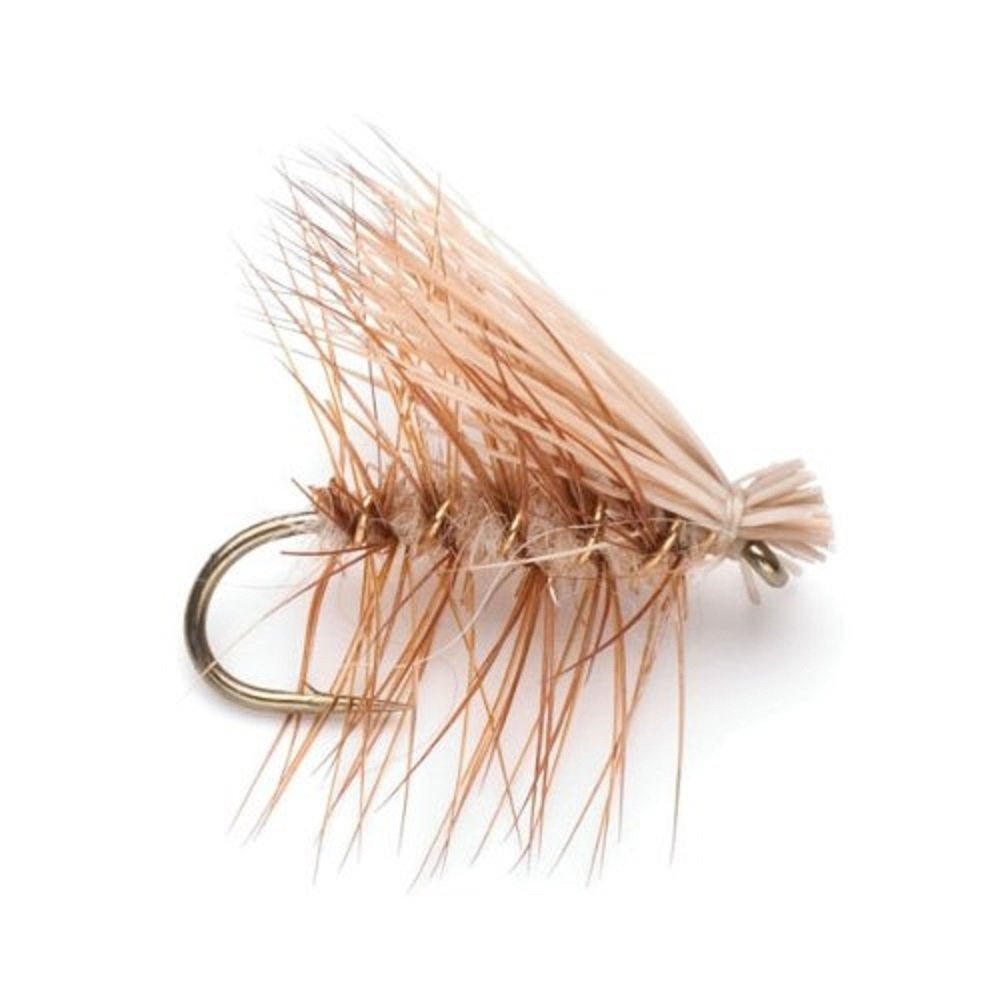 Trout Fly Assortment - Essential Western Dry and Nymph Fly Fishing Flies Collection - 2 Dozen Trout Flies with Fly Box