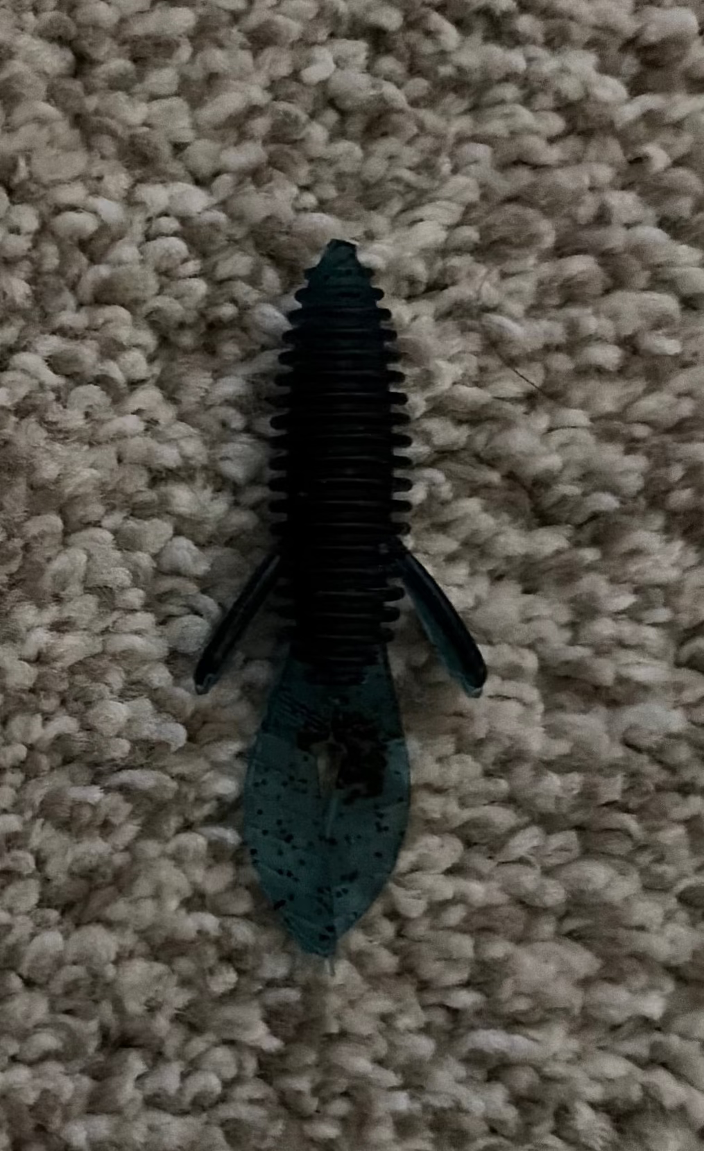 Blue Beaver Bugs with Black Flakes