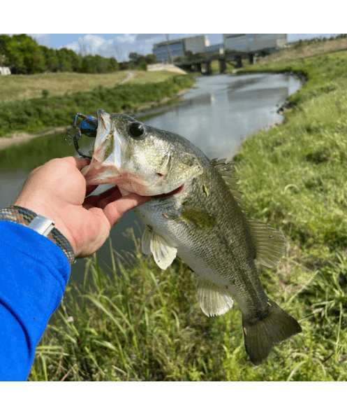Techno Frog - Soft Plastic Frog Bait for Bass Fishing