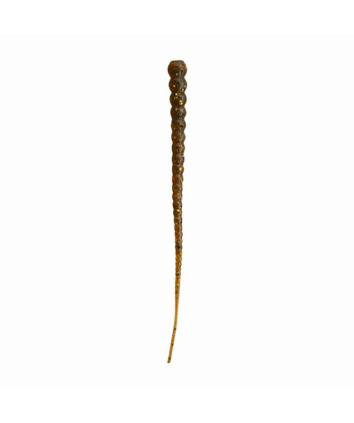 Whip Worm - Soft Plastic Worm with Whip-Like Tail for Bass Fishing